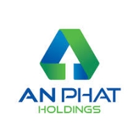 An Phát Holdings
